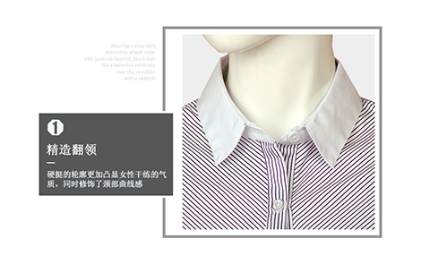 福建白領紫色對斜條棉質女士長袖襯衫