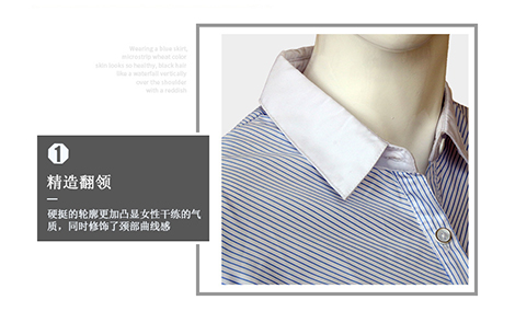 北京白領藍色對斜條棉質女士長袖襯衫